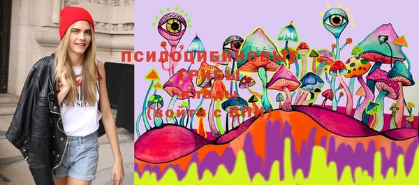 сатива Дмитров