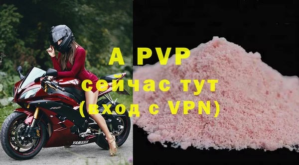 a pvp Белокуриха