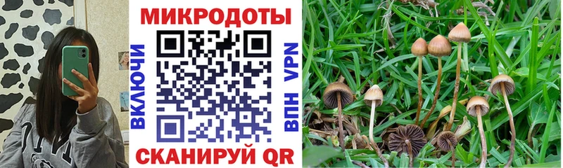 Псилоцибиновые грибы ЛСД  Мезень 